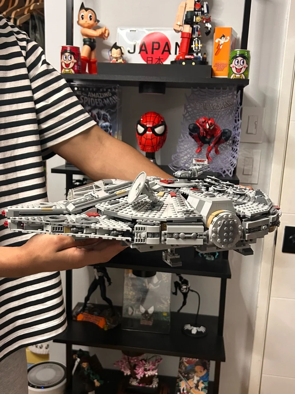 Gray millennial falcon - Picture 2 of 7